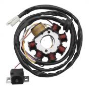 Stator TNT Booster 2002/Nitro 2002