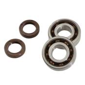 Roulements de vilebrequin avec joints spi Doppler Ludix