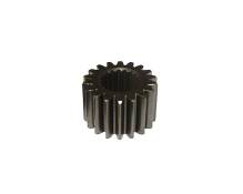 Pignon cloche d'embrayage Pit Bike moteur Lifan