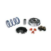 Variateur Malossi Multivar Peugeot Elyseo 100 2t catalysé