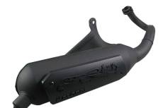 Pot d'chappement Malossi Wild Lion Piaggio Zip