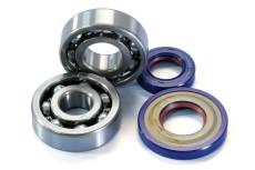 Kit roulements et joints spy Polini soie 19mm Vespa