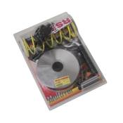 Variateur Malossi Multivar 2000 Sym GTS 250 2007-15
