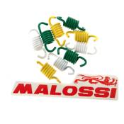 Jeu de 9 ressorts d'embrayage renforcé Malossi pour