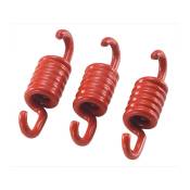 Ressorts d'embrayage LeoVince Piaggio