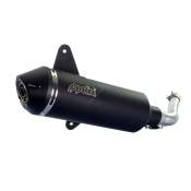 Pot d'échappement Polini Vespa 125 GTS euro 4 17-