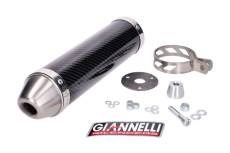 Silencieux Giannelli Street Carbone Yamaha TZR 50 2004