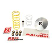 Variateur Malossi Multivar 2000 Honda Foresight 250