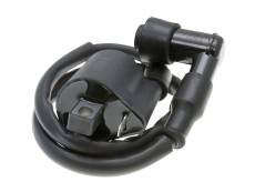 Bobine d'allumage et antiparasite Generic Trigger