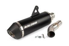 Pot d'chappement BMW C650 Sport Malossi Maxi Wild Lion