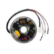 Stator Top Performances 217866 pour Piaggio Vespa PX