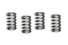 Ressorts d'embrayage Malossi Racing moteur Lifan 110