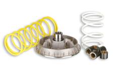 Variateur Malossi Multivar Honda Foresight / Piaggio X9 250cc