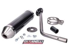 Silencieux Giannelli Enduro Carbone Peugeot XP6 2006