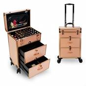 HYDL Mallette Maquillage Trolley avec tiroirs, Valise
