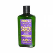 Andalou Naturals Full Volume Shampoo Lavender And Biotin