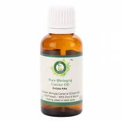 R V Essential Huile de Bhringraj pur 30ml (1.01oz) - Eclipta Alba (100% pur et Série d'herb rares naturelles) Pure Bhringraj Oil