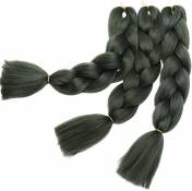 3 Pièces Mèche Tresse Africaine Hair Braid 300G[100g/pièce]
