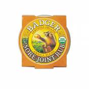 Badger JOINT RUB BALM Certified Organic Arnica Blend Sore, Achy Joint Relief 21g