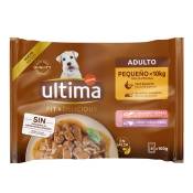 44 x 100 g Ultima Fit & Delicious Mini pour chiens adultes au saumon et à la dinde, nourriture humide pour chien