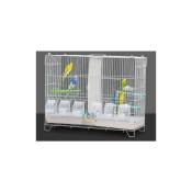 Cage Oiseau Cage d'elevage avec système de Porte Guillotine
