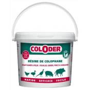 SANITERPEN - Coloder Résine de Colophane - 3,5KG