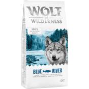 12kg Saumon Sans Céréales Croquettes Chien Blue River Wolf of Wilderness pour chien