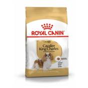 Royal Canin - Cavalier King Charles Adulte 3 kg