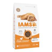3 kg Health Kitten & Junior IAMS Pro Active pour chaton