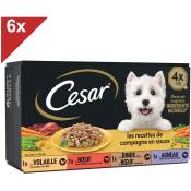 Cesar - 24 Barquettes en sauce 4 variétés pour chien