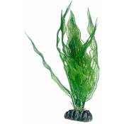 Hobby - Aponogeton, Plante d'aquarium artificielle pour la décoration - 25 cm