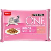 LOT DE 2 - PURINA ONE Junior Pâtée pour chat au saumon