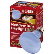 Neodymium Daylight Eco, Lumière du jour-spot halogène pour le terrarium - 42W - Hobby