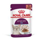 Patee chat royal canin sensory feel sauce 12x85g ROYAL CANIN 15190102