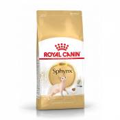 Royal Canin Sphynx Adult-Sphynx