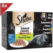SHEBA Sauce Lover 72 Barquettes coffret terre & mer