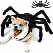 Costume de Chien de Araignée Halloween, Chiens Halloween