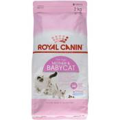 Croquette chat royalcanin babycat 2kg ROYAL CANIN 25440200