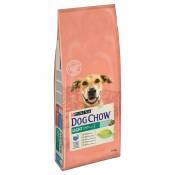 2x14kg PURINA Dog Chow Senior, agneau - Croquettes