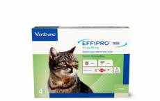 Effipro Duo Spot on Antiparasitaire pour Chats 4 Pipettes