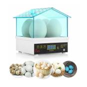 Liquidation totale Mini incubateur d'oeufs automatique numérique, peut faire éclore 4 oeufs en même temps, poulet incubateur de volaille domestique