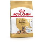 Royal Canin - Allemand Shepherd Adult 5+, 12 kg
