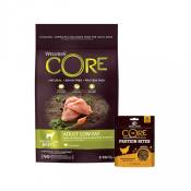 Wellness CORE Healthy Weight - Dinde-Healthy Weight
