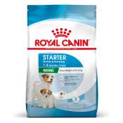 8kg Royal Canin Mini Starter Mother & Babydog - Croquettes pour chien