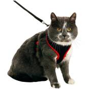 Animallparadise - Harnais pour grand chat, couleur noir et rouge, taille l, réglable Rouge