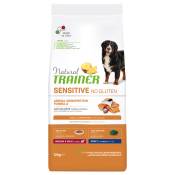 2 x 12 kg de nourriture pour chien Natural Trainer Sensitive No Gluten Adult Med/Max Salmon