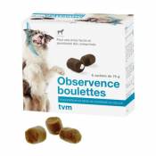 Boulettes appétentes 75 g chien – Observence