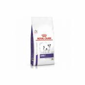 Croquettes Veterinary Care Adulte Small Dog Digest Sac 4 kg - Royal Canin