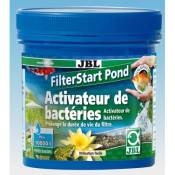 Filterstart pond 250 gr (bassin)