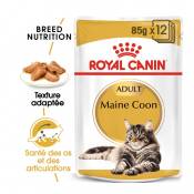Royal Canin Maine Coon-Maine Coon Adult sauce